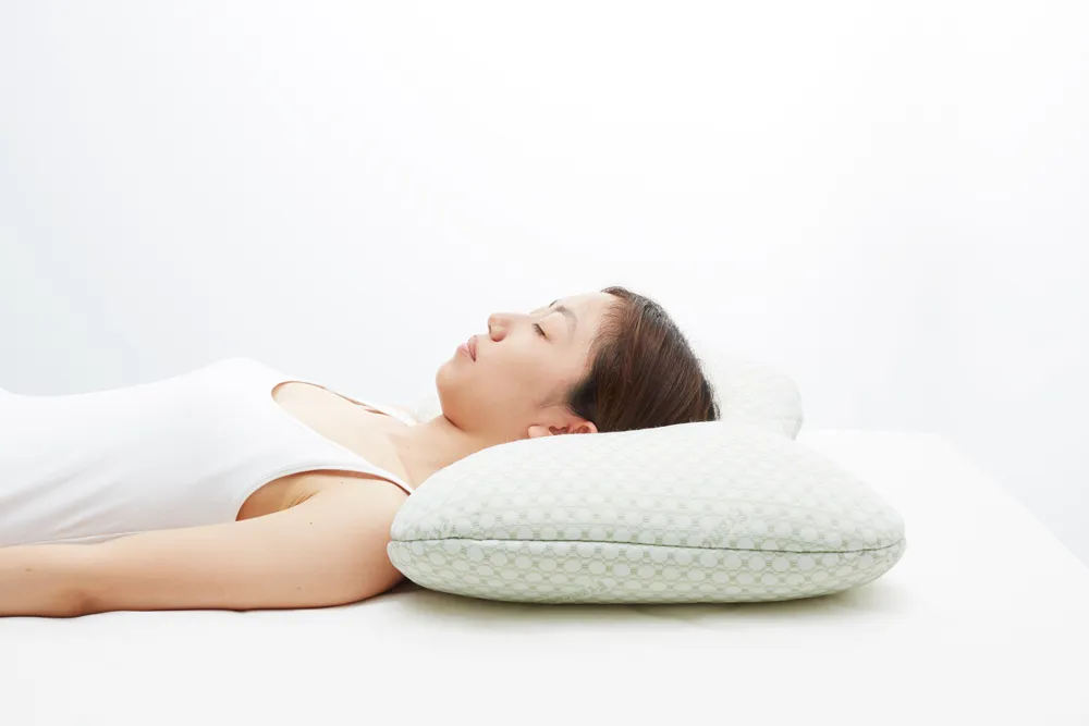 ホテルズセレクト クイーンメモリーピロー｜【公式通販】フランス