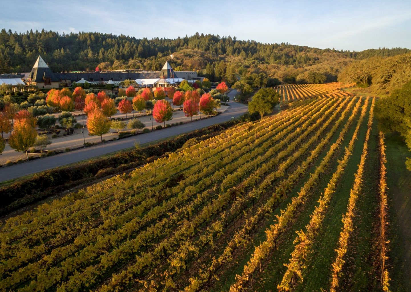 Francis Ford Coppola Reserve Wines