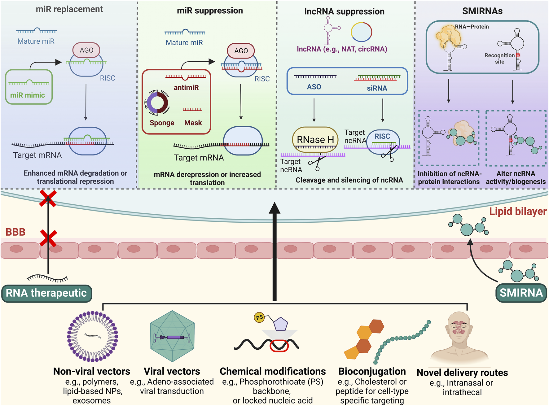 Frontiers Publishing Partnerships | Noncoding RNA therapeutics for