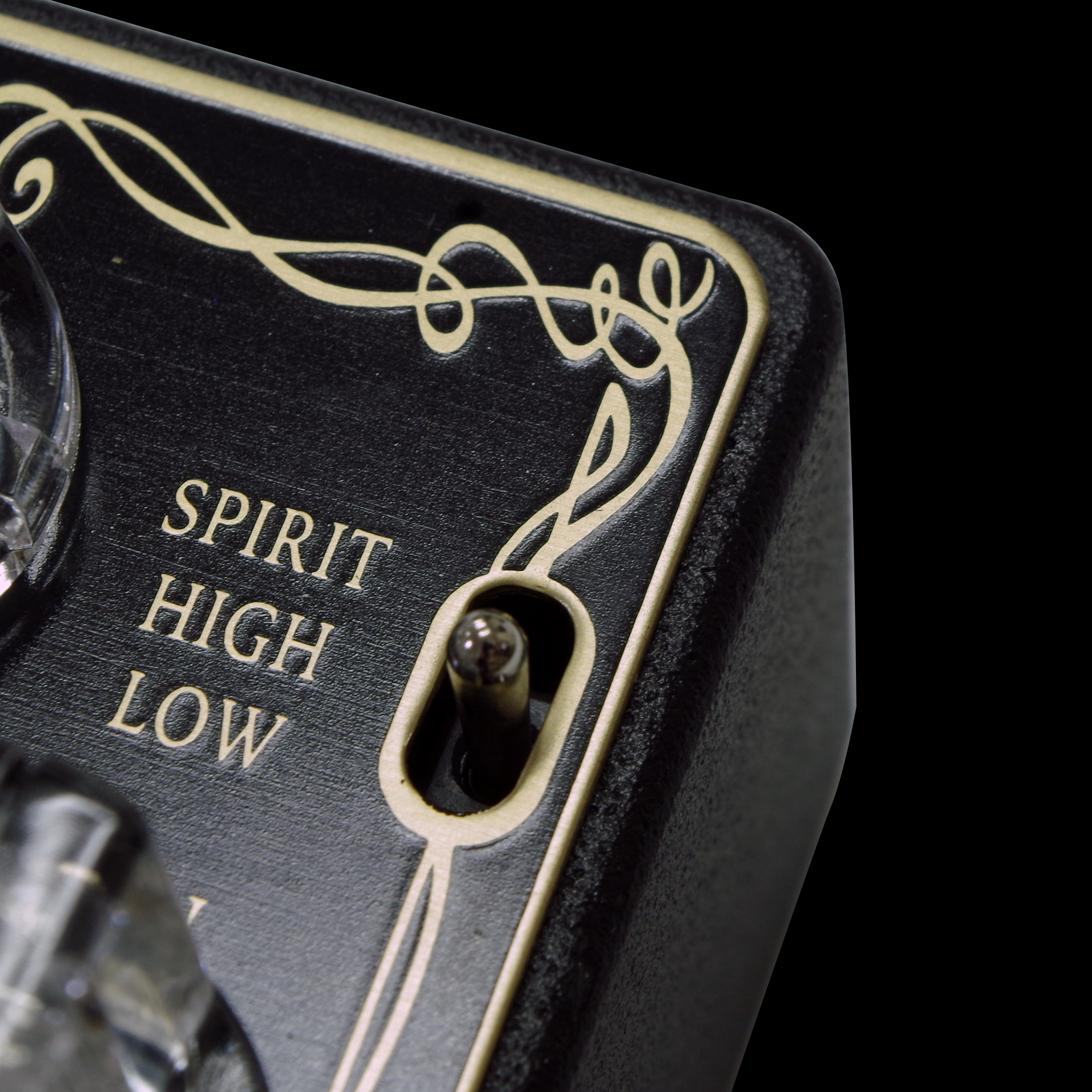 G-Life Guitars / BLACK BUSTER