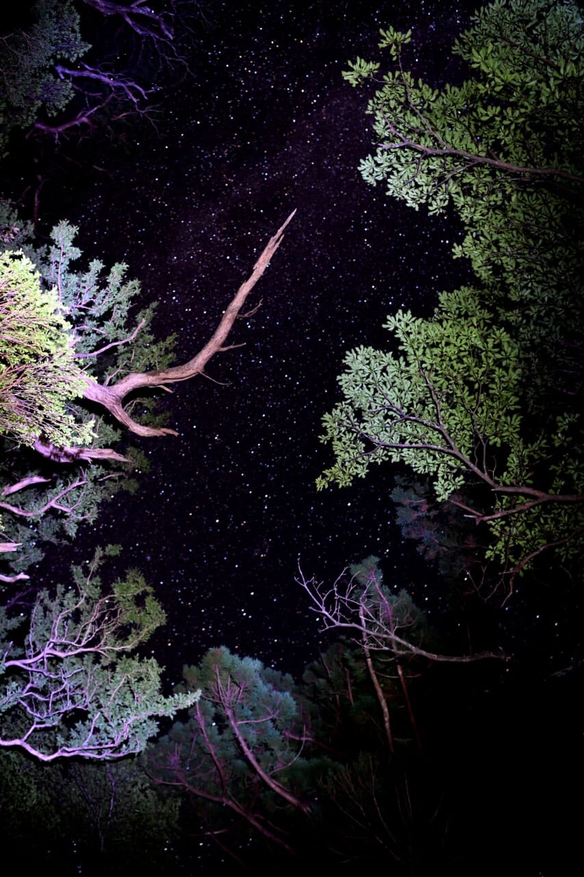 第6回 見えるものだけが現実じゃない。 | 特集 写真家が向き合って