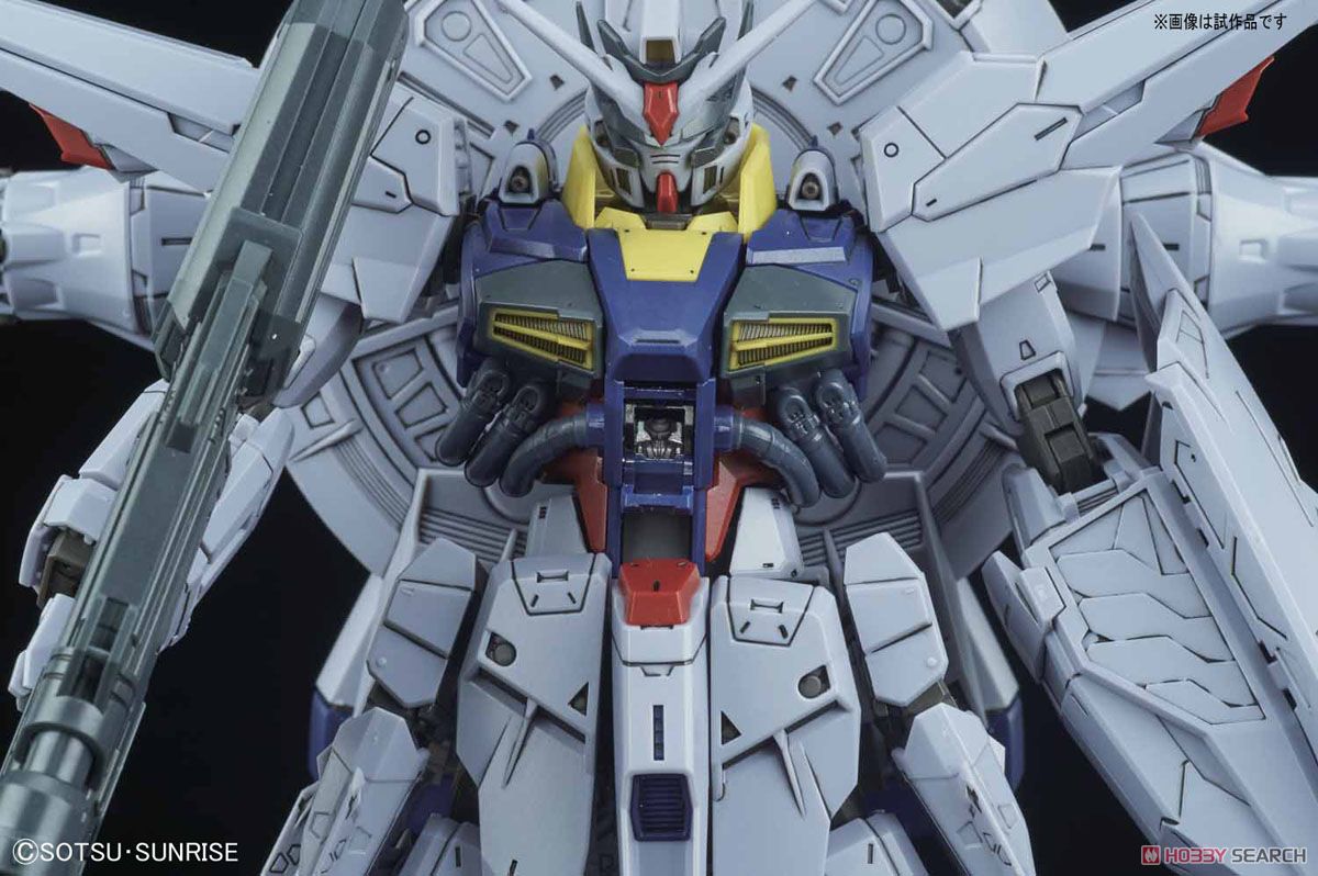 プロヴィデンスガンダム (MG) (ガンプラ) - ホビーサーチ ガンプラ他