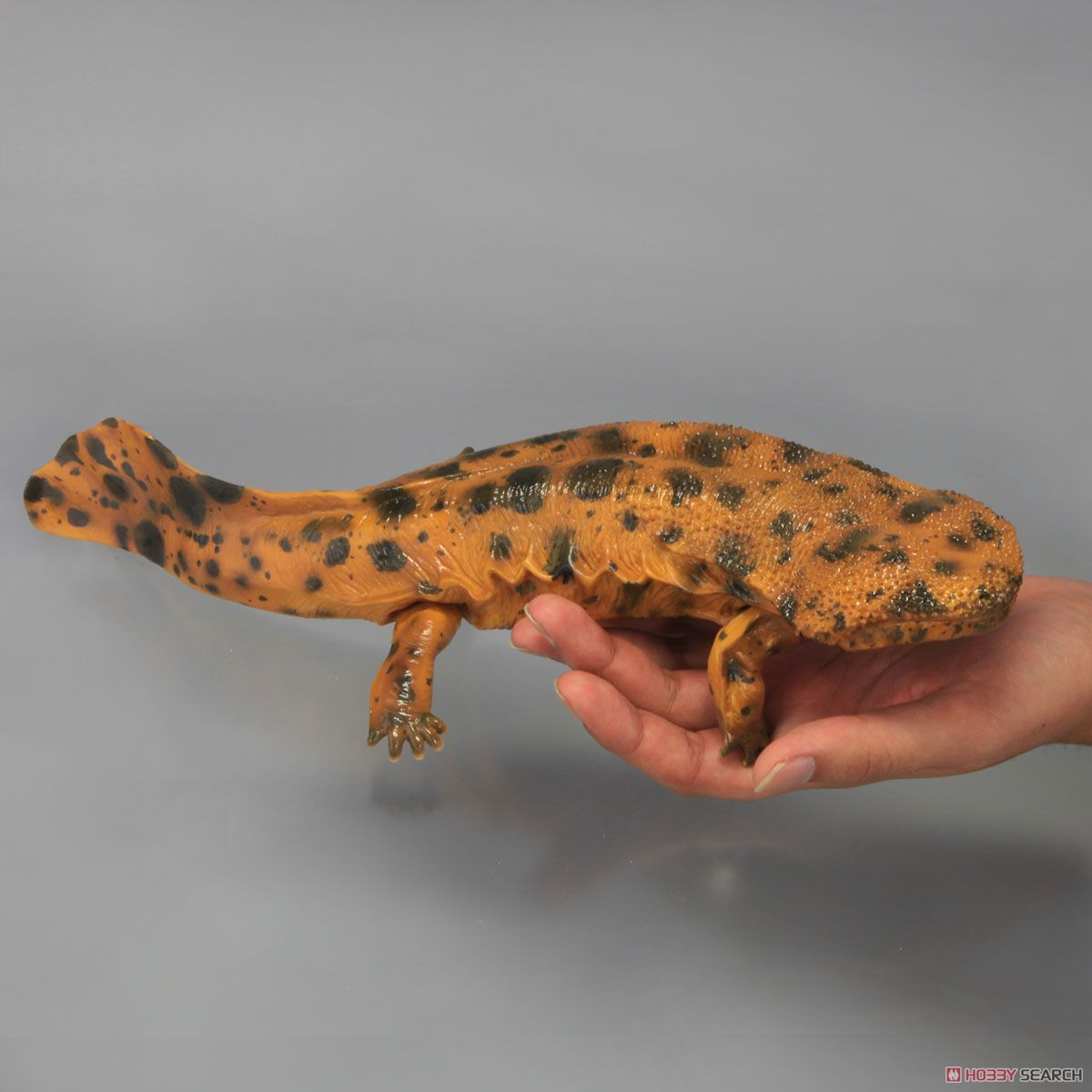 ソフビトイボックス010 オオサンショウウオ (大山椒魚) (明色) (完成品