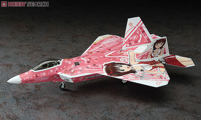 F-22 Raptor `The Idolmaster 2 Amami Haruka` (Plastic model