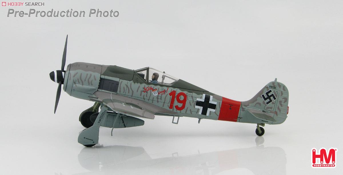 1/48 Fw190/A-8 フォッケウルフ `エルンスト・シュレーダー` (完成品