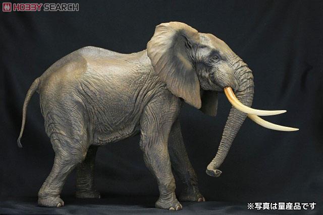 ホビーサーチブログ - 全長約45センチ！超メガ級のアフリカゾウフィギュア