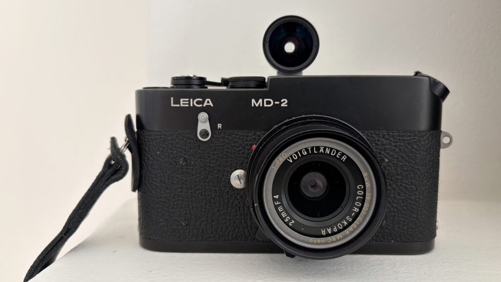 Leica Minilux Death by E02 / 5 Frames with a Beautiful Brick - By