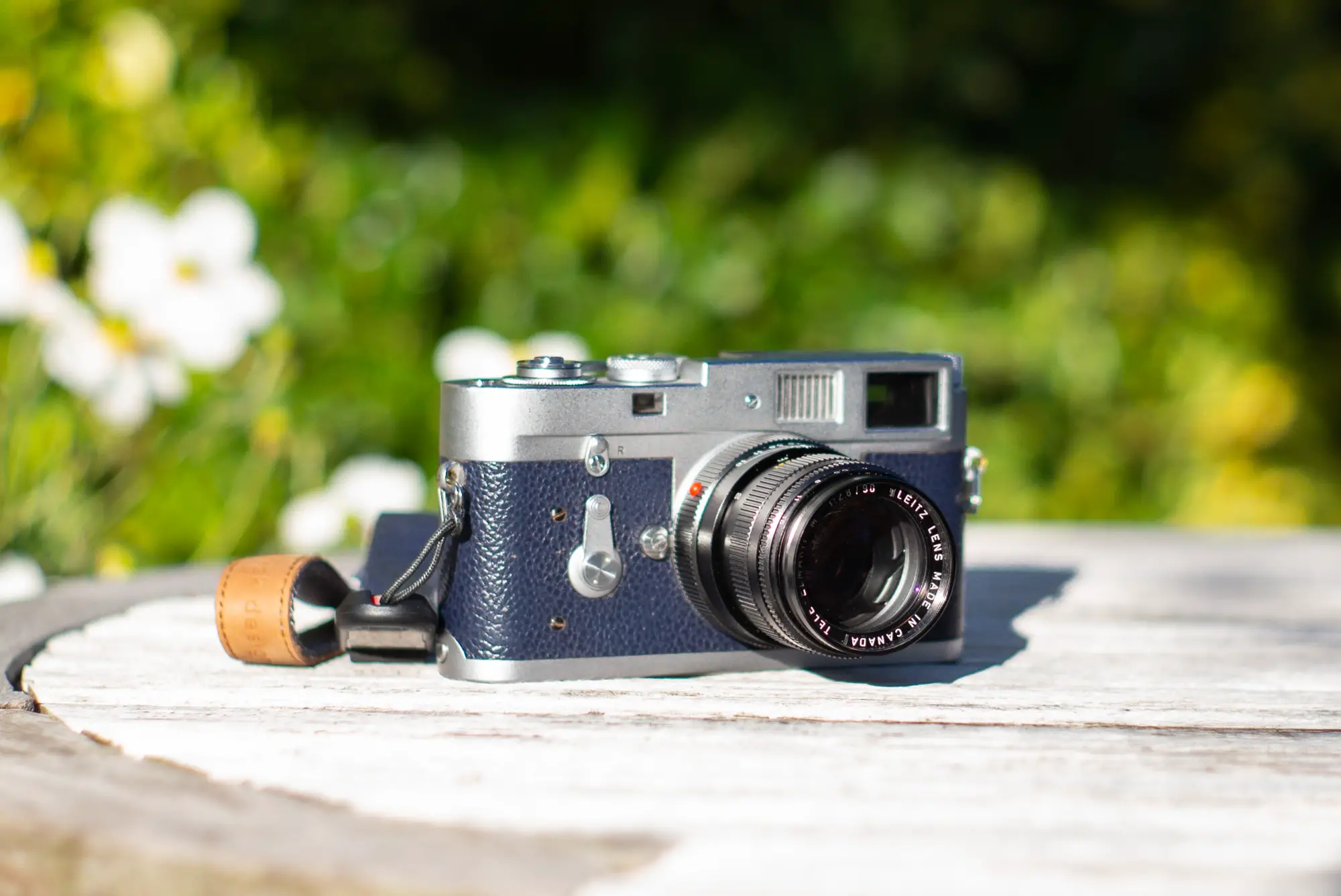 5 Frames With A Leica Tele-Elmarit 90mm f/2.8 - by Aukje - 35mmc