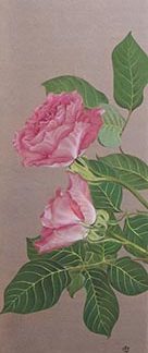 af5dd8eb6c48acf05e3ad8247ee1f9