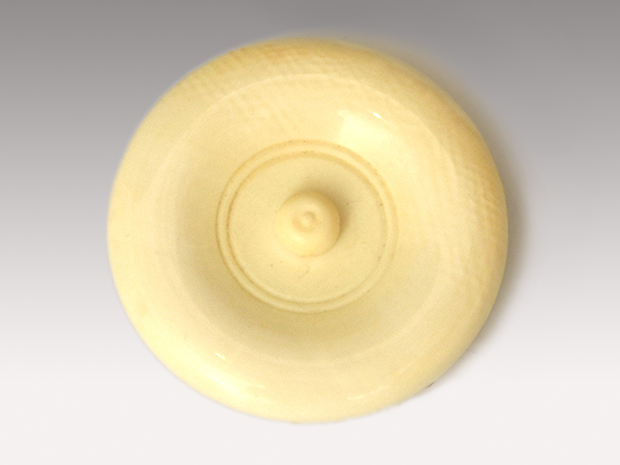 膳所焼 肩衝茶入 淡海ぜぜ 陽炎園造 共箱 象牙蓋 仕覆（獅子狩文様錦