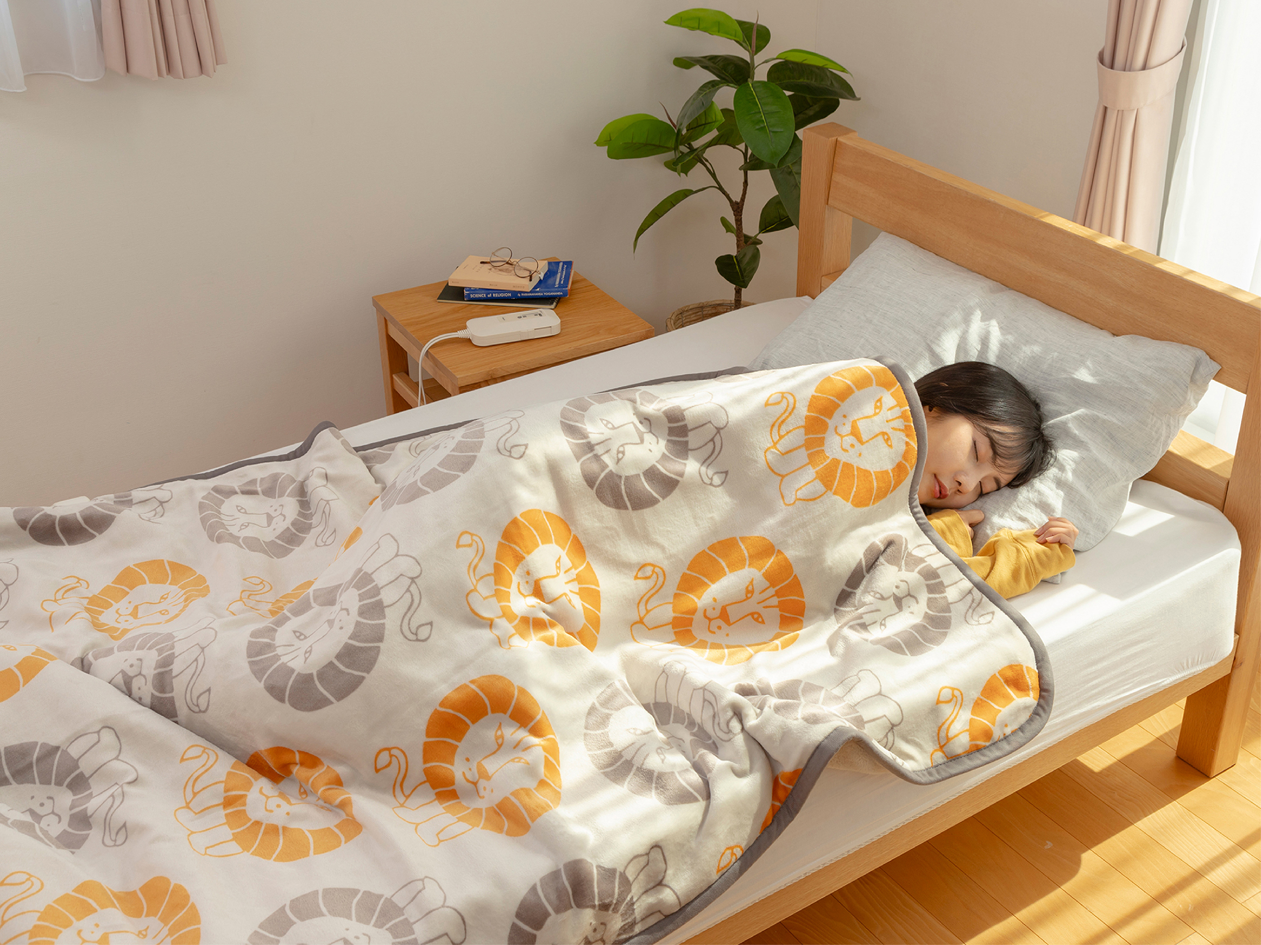 電気掛敷毛布 KDK-L305｜電気毛布｜シーズン 季節家電｜KOIZUMI