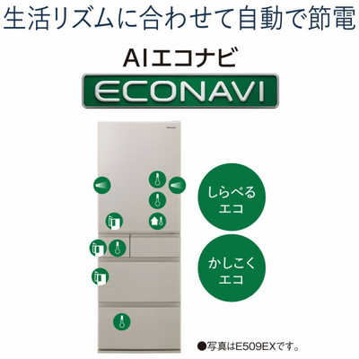 パナソニック Panasonic 冷蔵庫 EXタイプ 5ドア 右開き 406L NR-E419EX