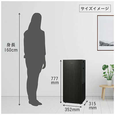 ダイキン DAIKIN 加湿空気清浄機 ストリーマ 空気清浄:41畳まで 加湿