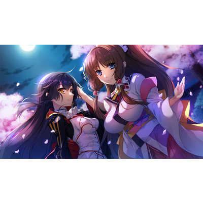 JITA S戦国恋姫 実機 不要機付き 藤商事』パチスロ 戦国†恋姫【コイン