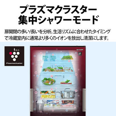 シャープ SHARP 冷蔵庫 3ドア どっちもドア(両開き) 350L SJ-GW35H-R