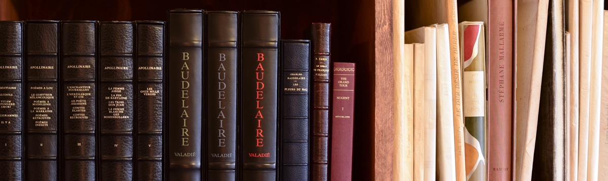 中上健次全集 全15巻揃＋別冊『中上健次の世界』16冊セット ｜ 1995