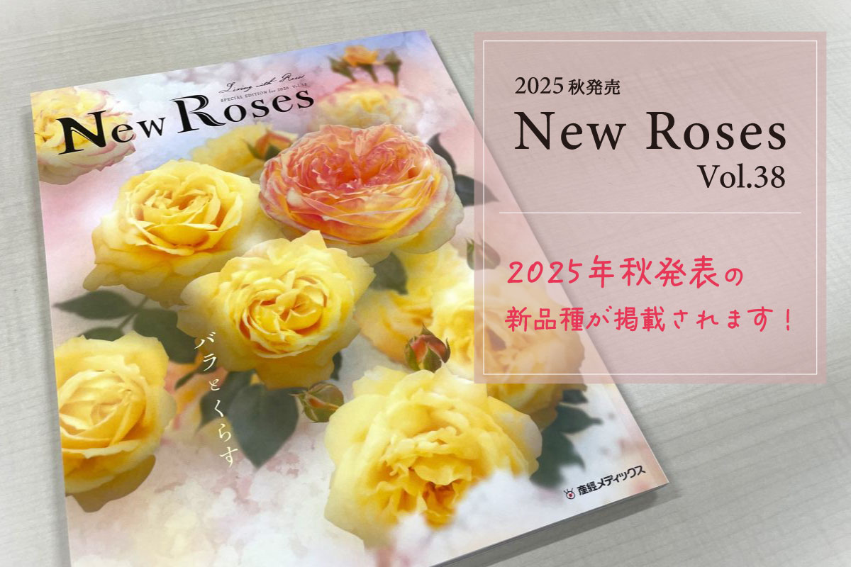 New Roses vol.38に掲載されます | 河本バラ園-KawamotoRoseGarden-