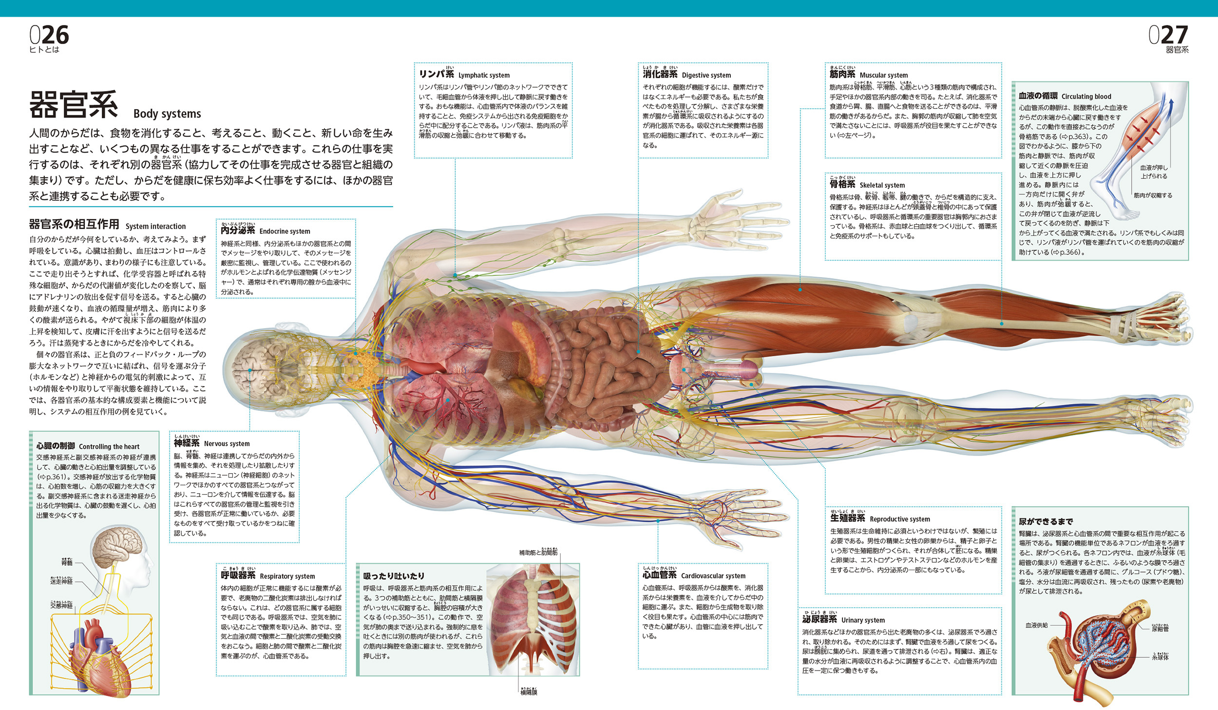 完全版 人体 大図鑑 :アリス・ロバーツ,坂井 建雄 | 河出書房新社