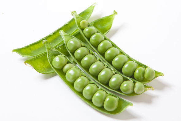 実えんどう | かごしまの食かごしまの食