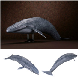 FIG]メガソフビアドバンス MSA-004 シロナガスクジラ フィギュア 海洋