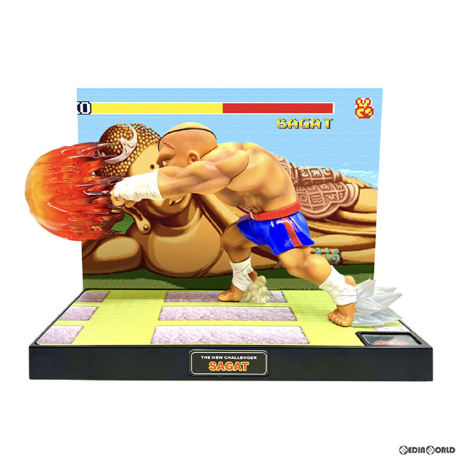 FIG]T.N.C-10- サガット STREET FIGHTER II(ストリートファイターII