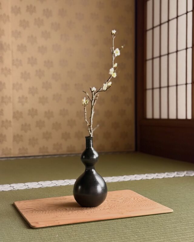 藤笠 砂都子 展 | 柿傳ギャラリー