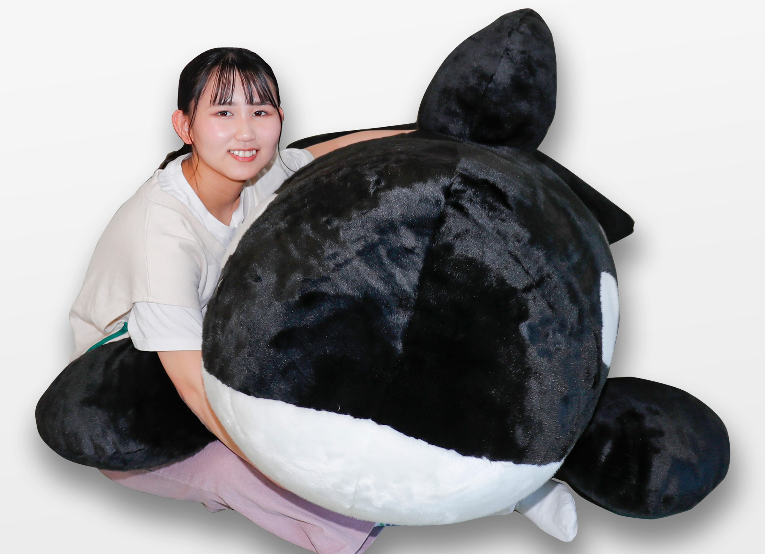 BIGシャチぬいぐるみ』販売開始｜鴨川シーワールド-東京・千葉の水族館