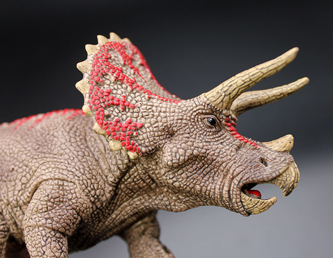 本物化石1個付き！トリケラトプス恐竜フィギュア 教育用グッズ 販売