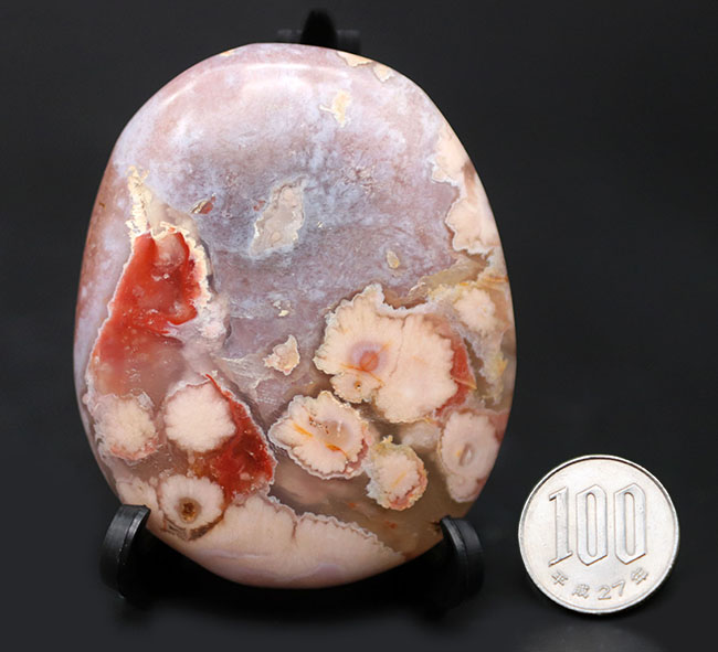 プリマス・ロックの孫みたいな石 プリマス・ロックの孫みたいな石