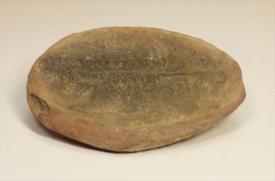 ビックリ系化石。ぱかっと割ったら古代のシダが！植物化石のノジュール