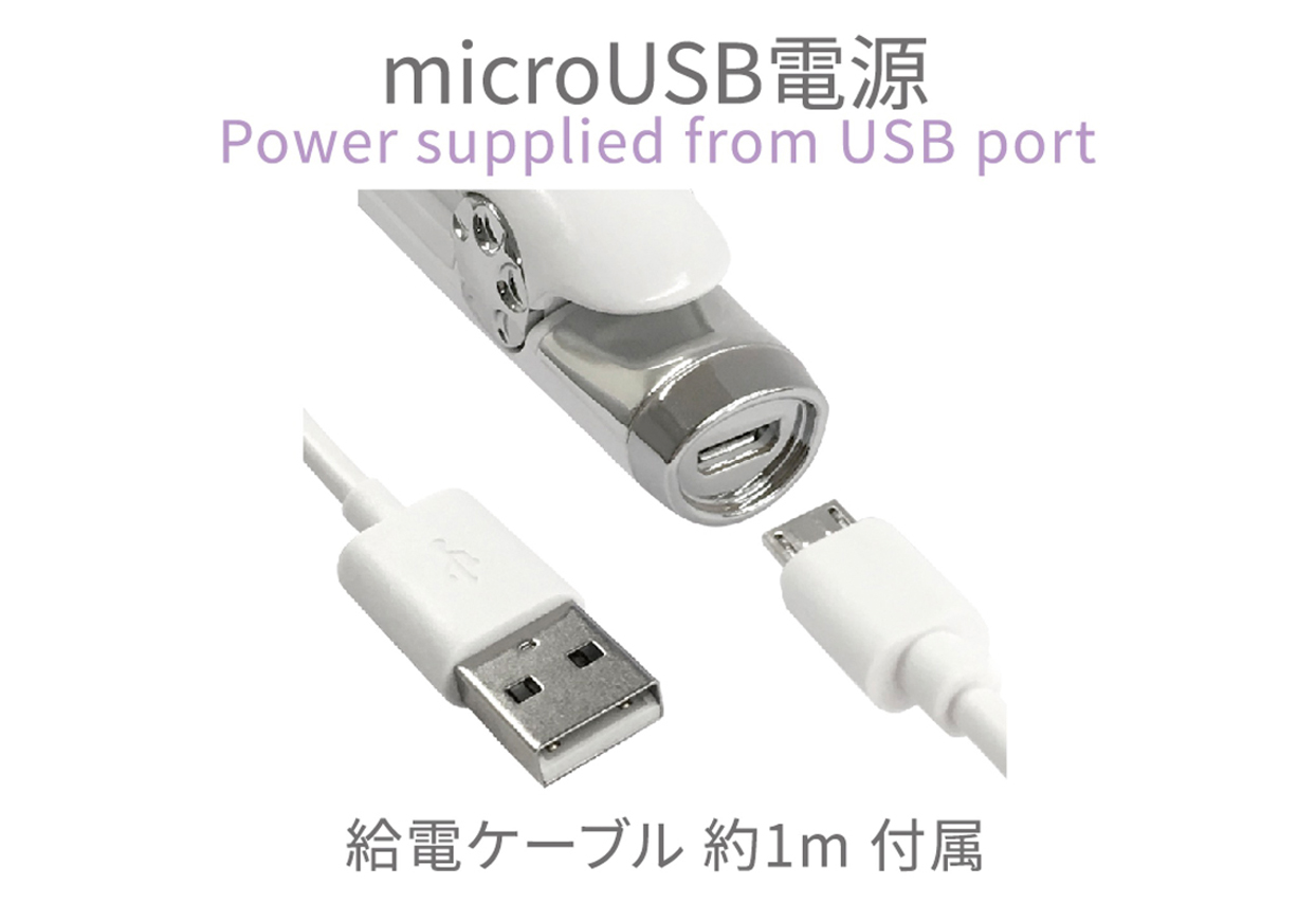 国内・海外使用 USB給電式 ミニヘアアイロン ストレート 耐熱ポーチ