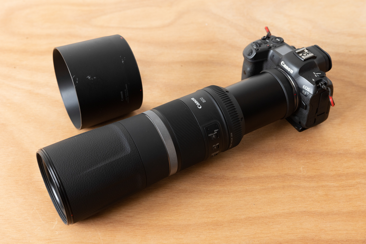 キヤノン RF800mm F11 IS STM レビュー｜超望遠で見える別世界 | ShaSha