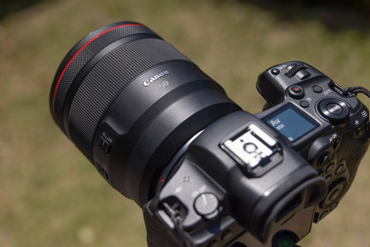 キヤノン RF50mm F1.2 L USMとRF50mm F1.8 STMを比較レビュー｜自然