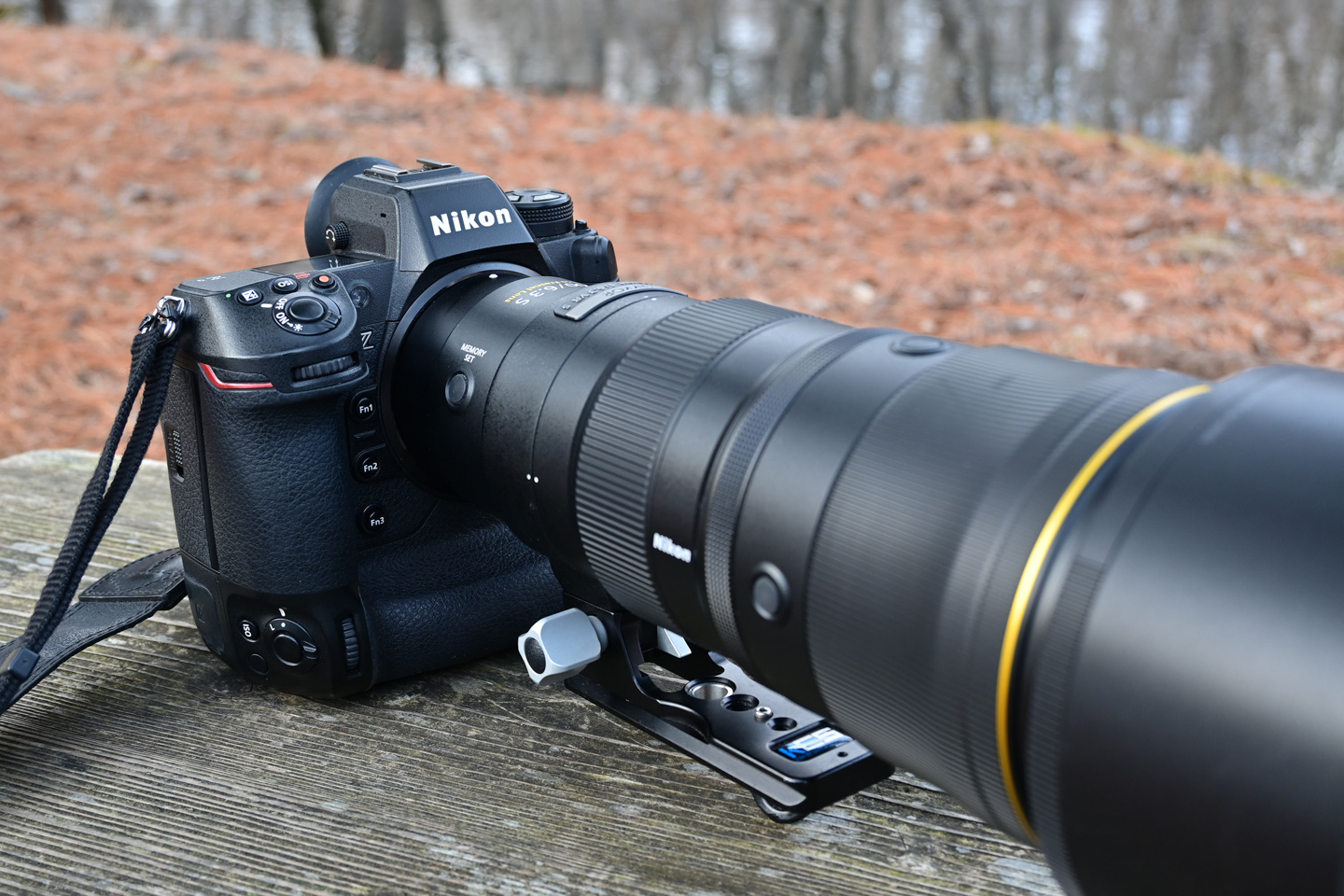 ニコン Z9 レビュー｜Ver.4.10で追加された鳥認識AFの実力 | ShaSha