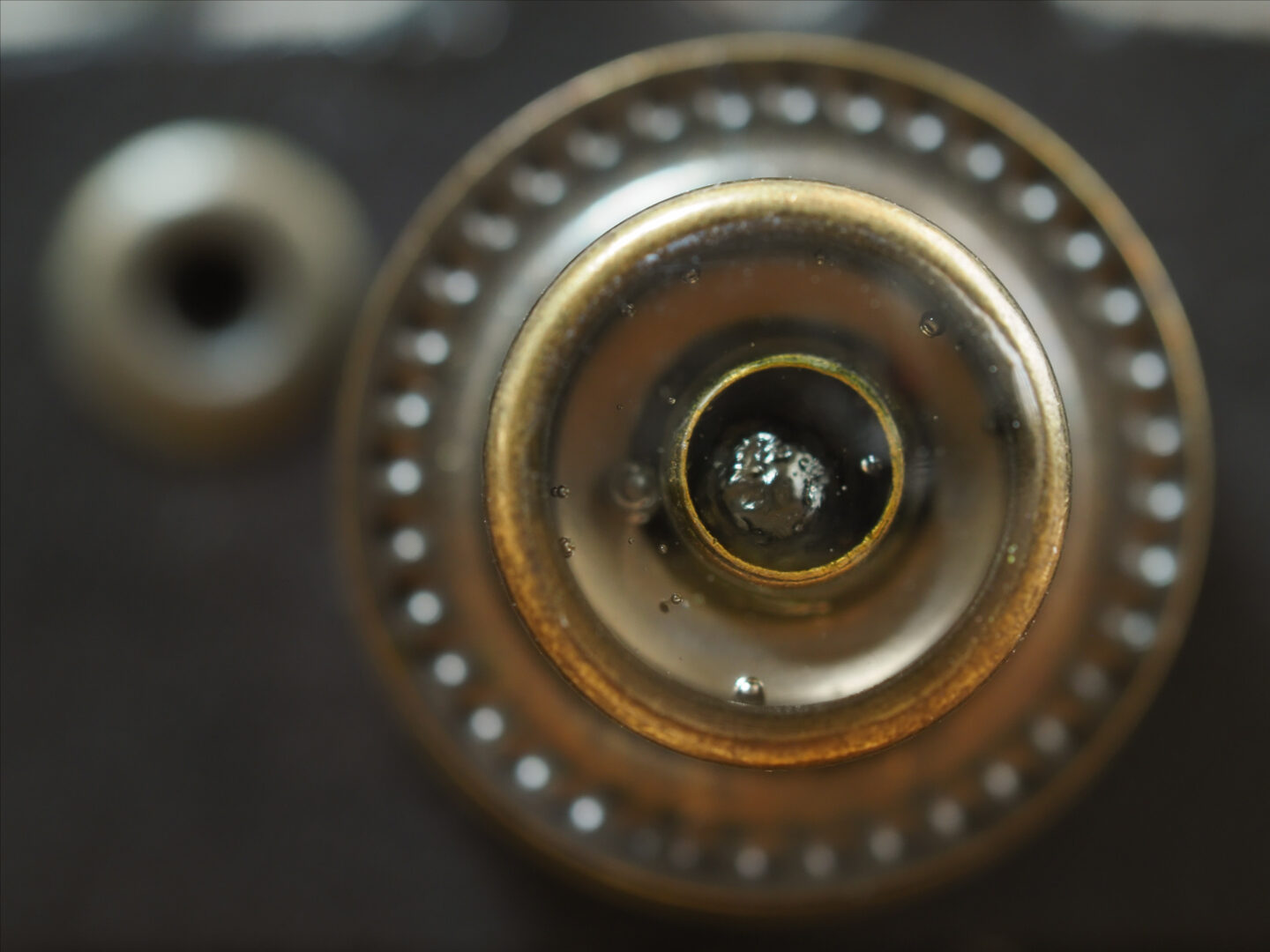 OM SYSTEM M.ZUIKO DIGITAL ED 30mm F3.5 Macroで描く旅と日々 | ShaSha