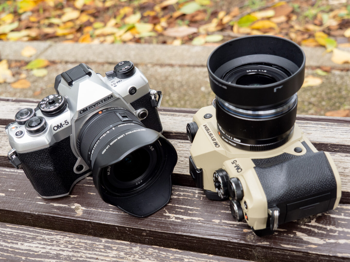 OM SYSTEM OM-5 Mark IIレビュー｜アウトドアだけじゃない！ワガママに