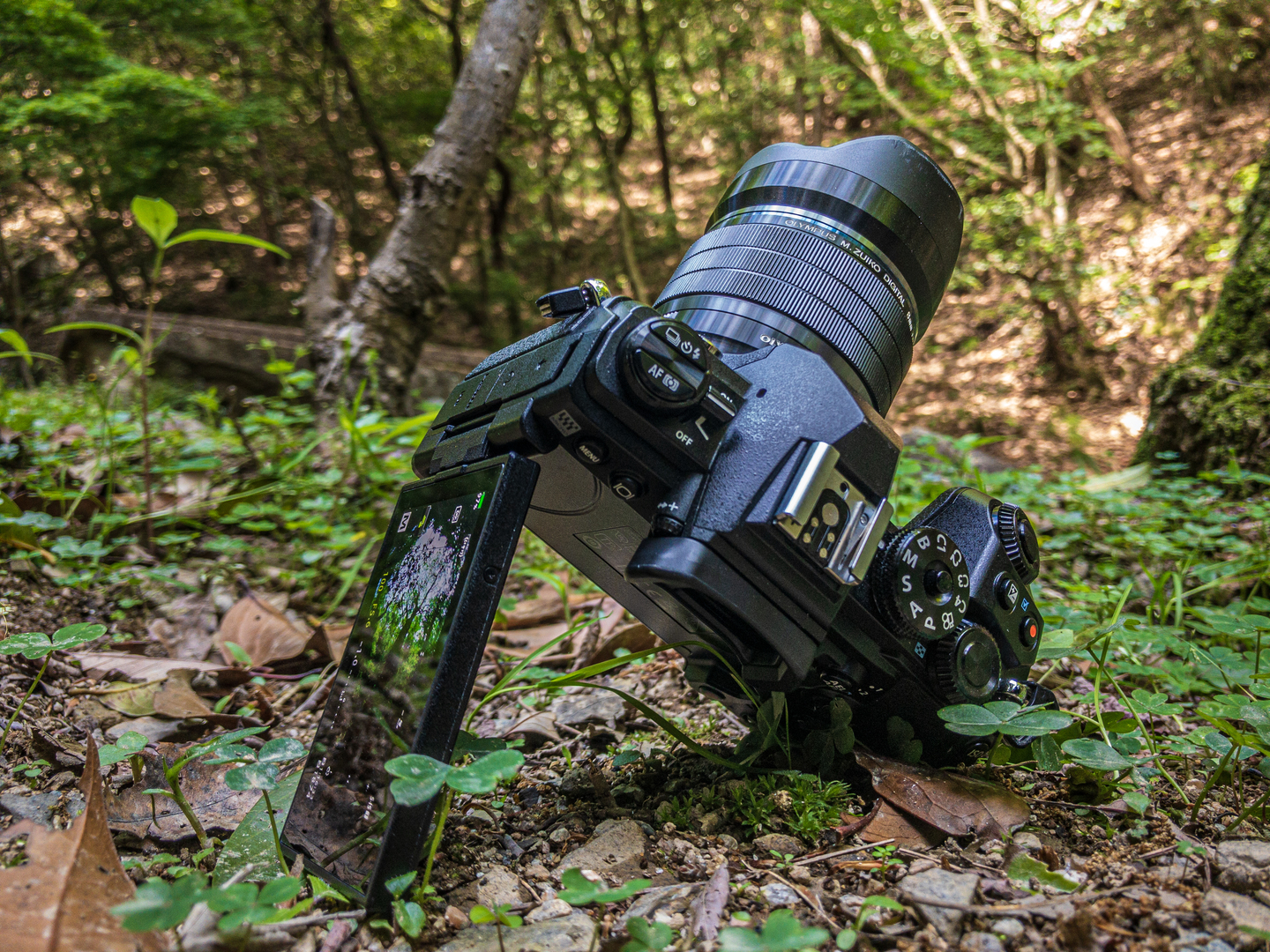 オリンパス M.ZUIKO DIGITAL ED 8mm F1.8 Fisheye PRO レビュー｜木村