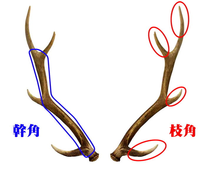 鹿角】おまかせ 枝角 14cm〜16cm 用途自由 ペットおもちゃ