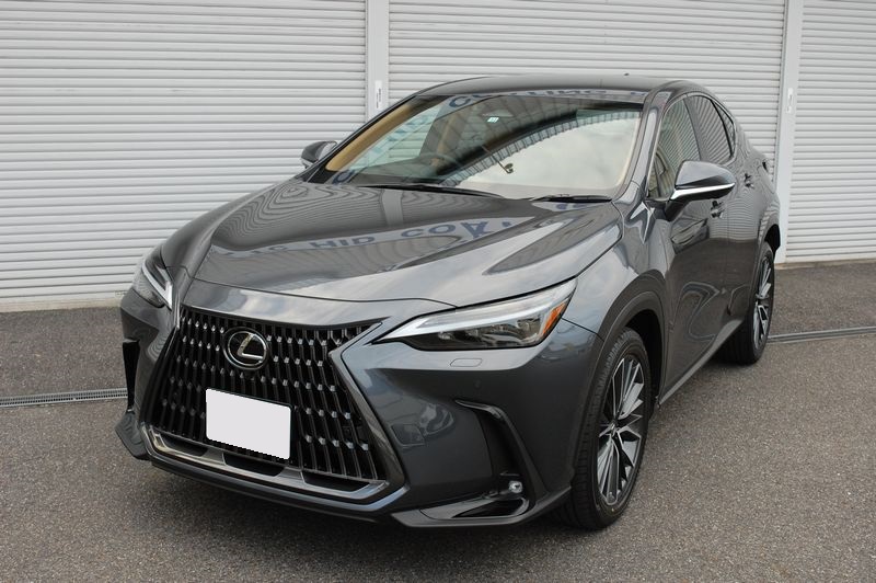 レクサス NXにアクティブブレーキホールドキットと、TV/ナビ