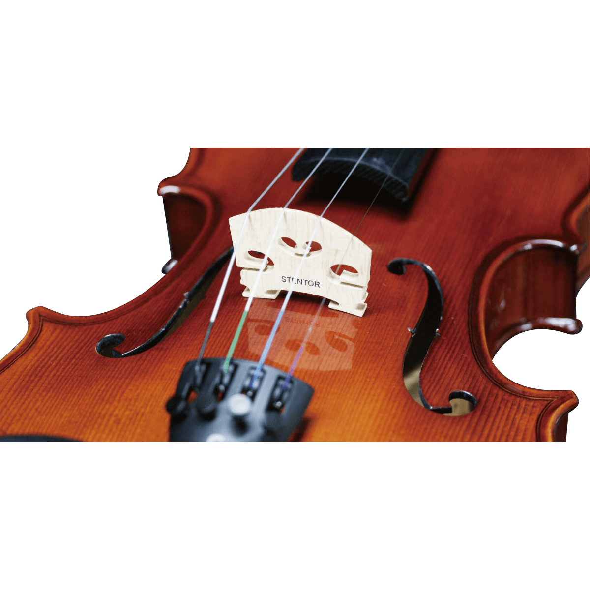 SVA-240 | キクタニミュージック