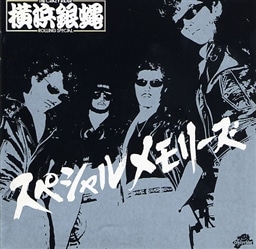 T.C.R.横浜銀蝿R.S.スペシャルメモリーズ T.C.R.横浜銀蝿R.S. KING