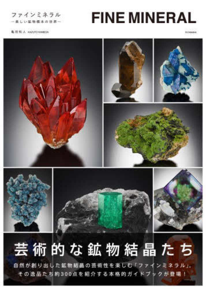 ファインミネラル－美しい鉱物標本の世界－ / 亀田 和人【著