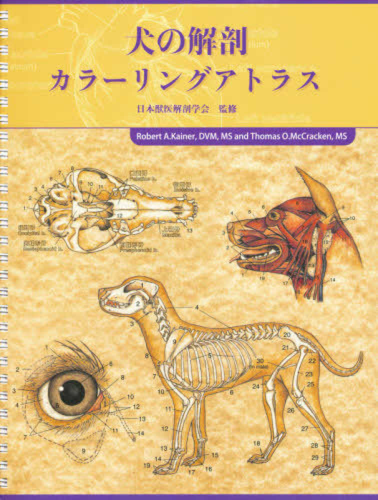 犬の解剖カラ－リングアトラス / 日本獣医解剖学会 - 紀伊國屋書店