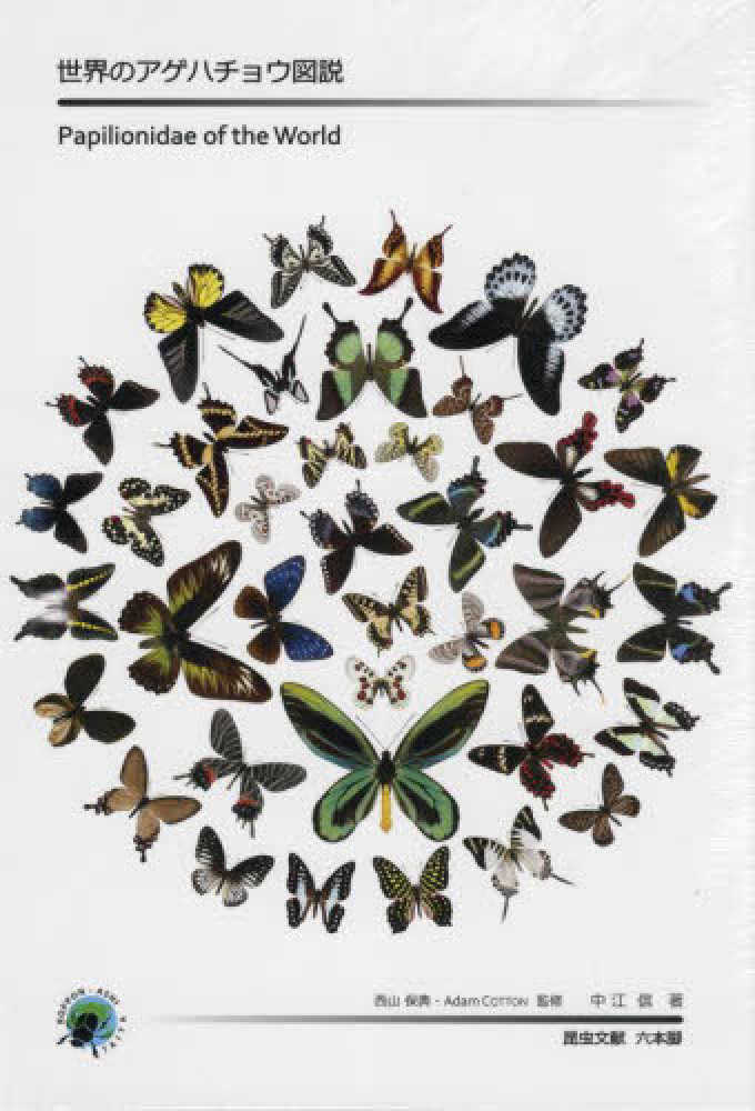 世界のアゲハチョウ図説 / 中江信 - 紀伊國屋書店ウェブストア