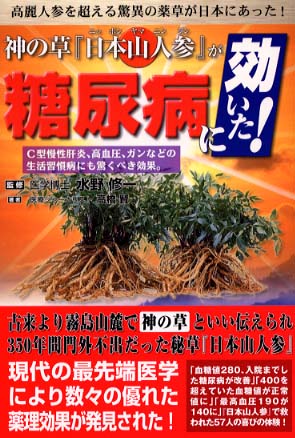 神の草「日本山人参」が糖尿病に効いた！ / 水野 修一【監修】/高橋 賢