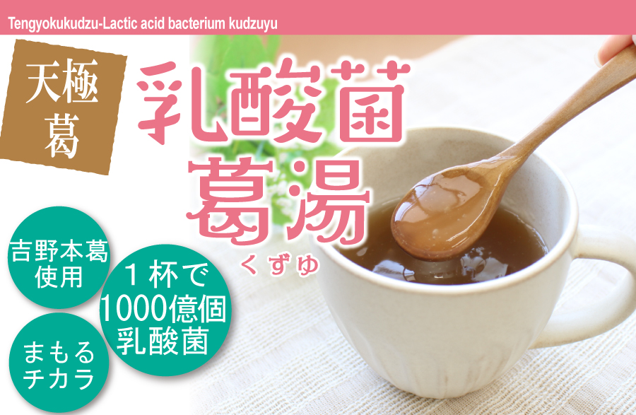定期購入】乳酸菌葛湯 1kg×2袋 | 吉野本葛 天極堂 オンラインショップ
