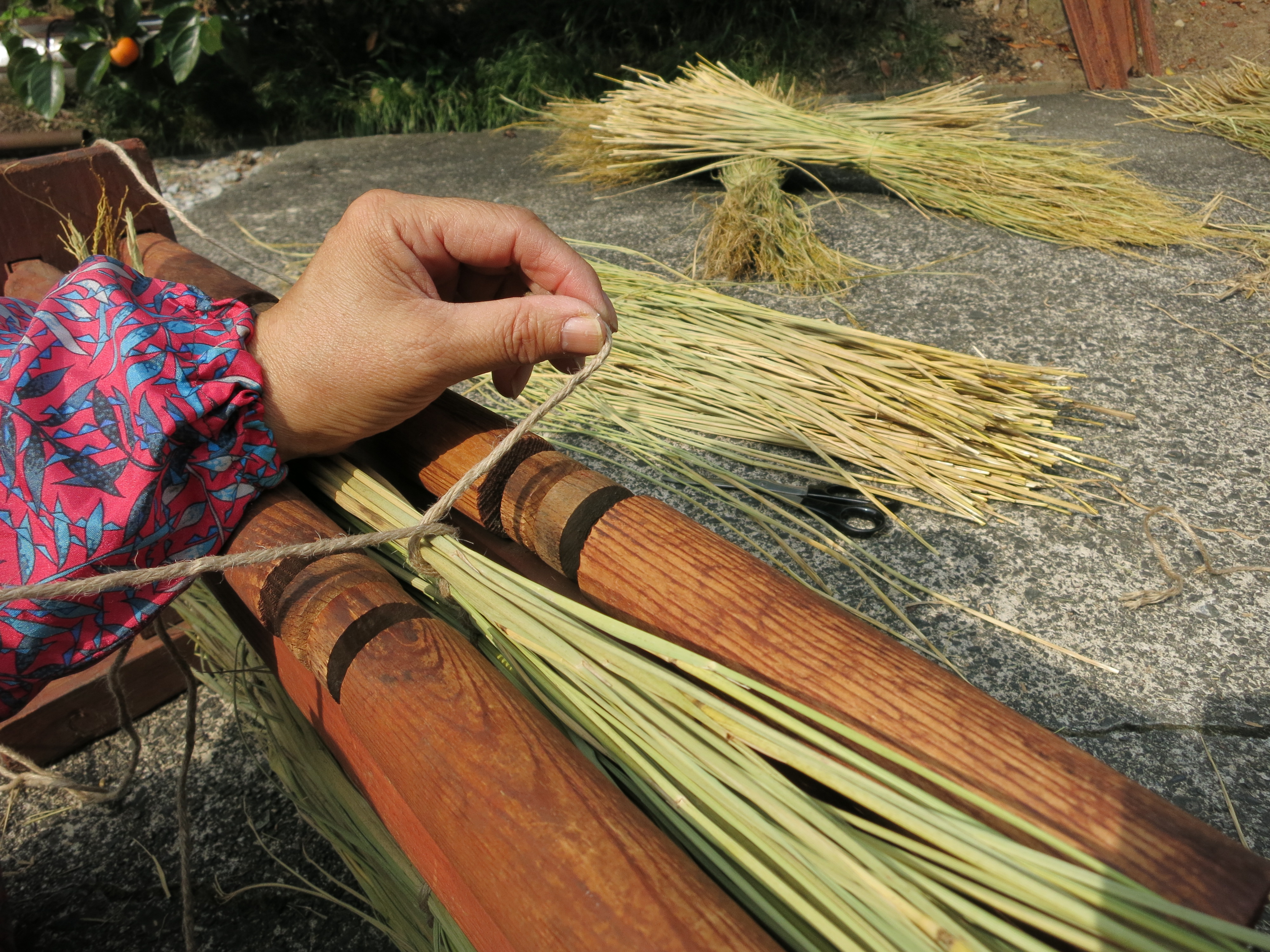 妻の菰（コモ）作り | お茶芽ブログ