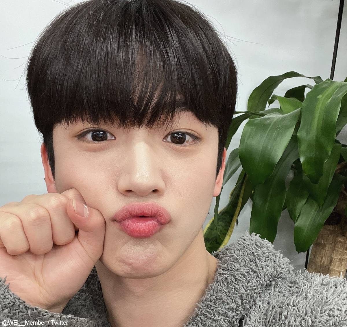 WEi、待望の日本初公演開催決定！ 4月28日～29日に横浜、5月2日に