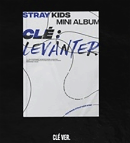 stray kids スキズ バンチャン サイン入り CD LEVANTER stray kids