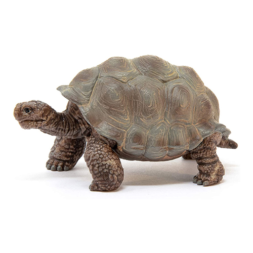 シュライヒ・ゾウガメ | krtek select toys